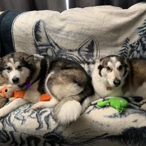 Meet your Posher, Myles